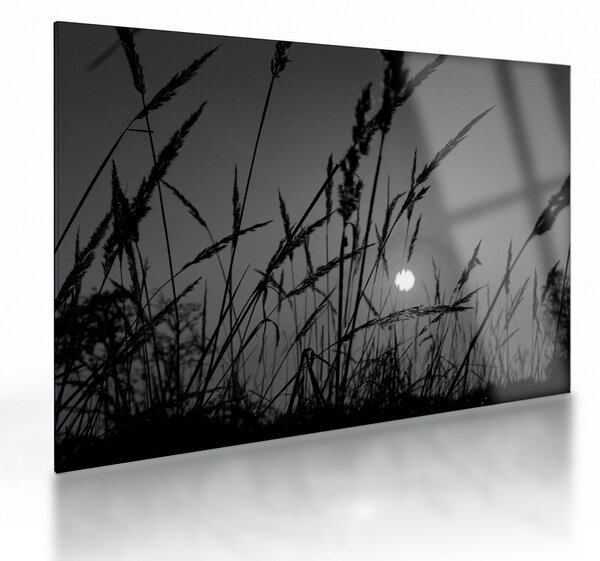 Staklena slika - Livada sa zalaskom sunca (70x50 cm)