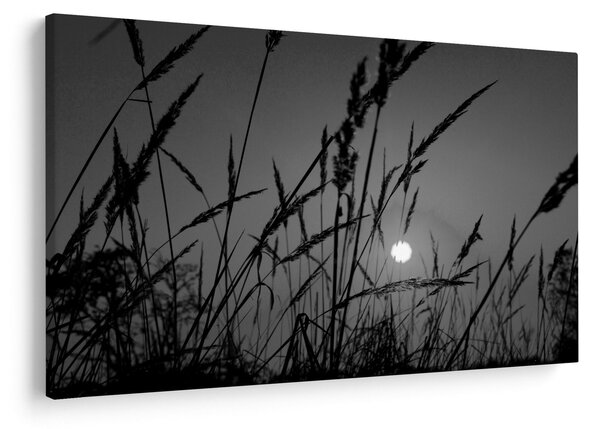 Slika - Livada sa zalaskom sunca (90x60 cm)