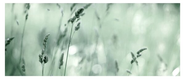 Slika - Zelena livada (120x50 cm)