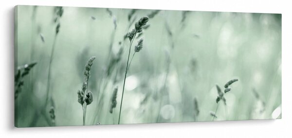 Slika - Zelena livada (120x50 cm)