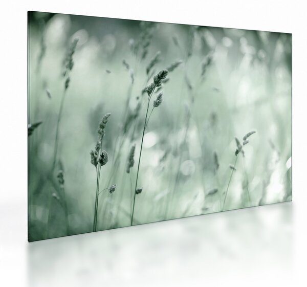 Staklena slika - Zelena livada (70x50 cm)