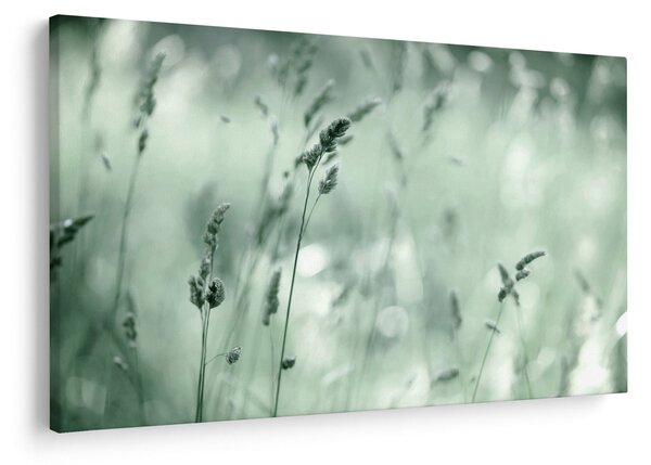 Slika - Zelena livada (90x60 cm)