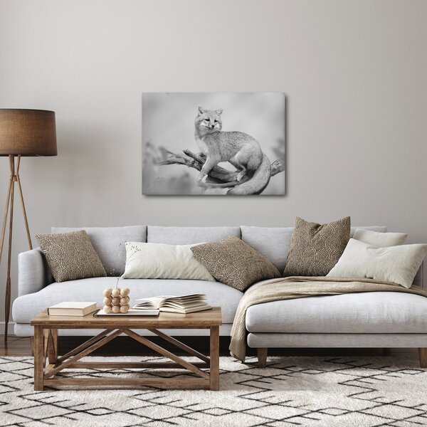 Slika - Siva lisica (70x50 cm)