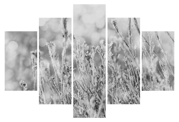 Slika - Hladna zima (150x105 cm)