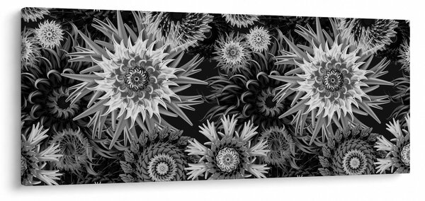 Slika - Crni i bijeli čičak (120x50 cm)