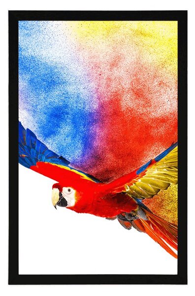 Plakat let papige