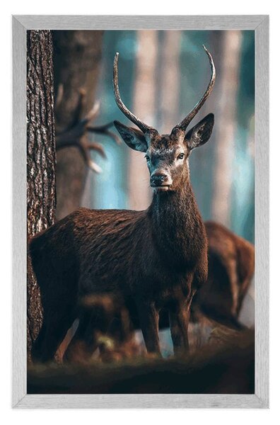 Plakat jelen u šumi