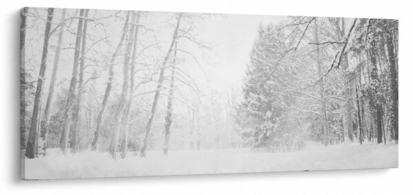 Slika - Drveni mol zimi (120x50 cm)