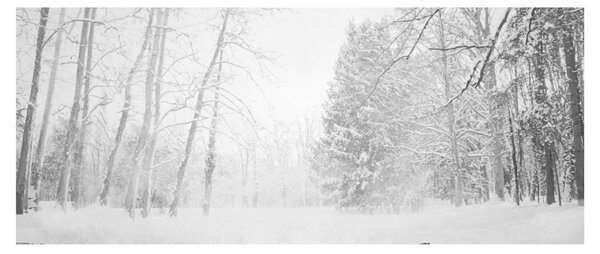 Slika - Drveni mol zimi (120x50 cm)