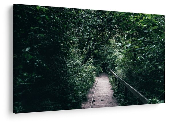 Slika - Put kroz šumu (90x60 cm)
