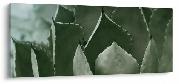 Slika - Zelena agava (120x50 cm)