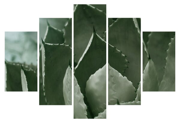 Slika - Zelena agava (150x105 cm)