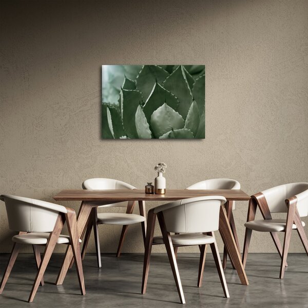 Slika - Zelena agava (70x50 cm)