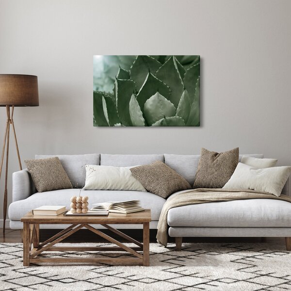 Slika - Zelena agava (90x60 cm)
