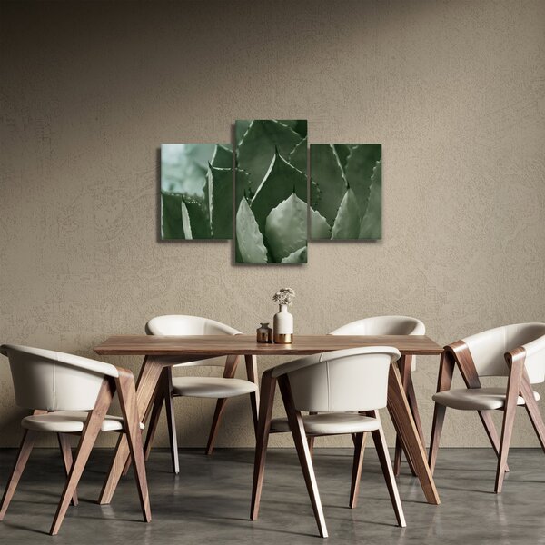 Slika - Zelena agava (90x60 cm)