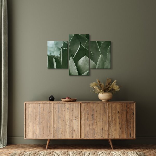 Slika - Zelena agava (90x60 cm)