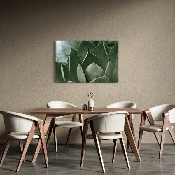 Slika - Zelena agava (90x60 cm)