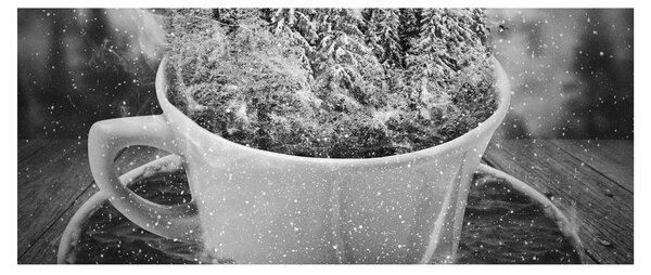 Slika - Šalica prirode (120x50 cm)
