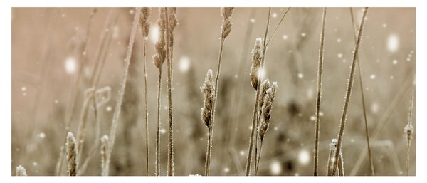 Slika - Harmonična livada (120x50 cm)