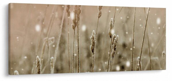 Slika - Harmonična livada (120x50 cm)