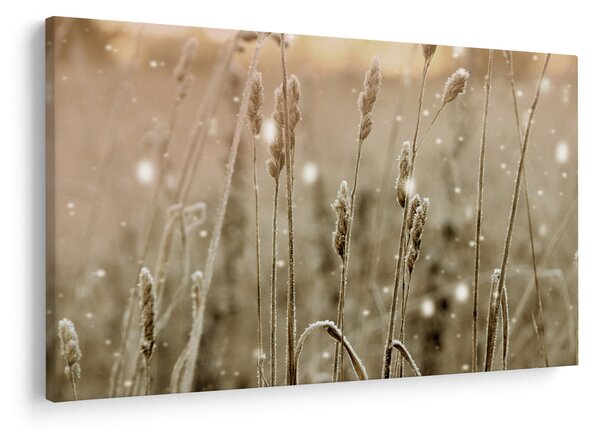 Slika - Harmonična livada (90x60 cm)