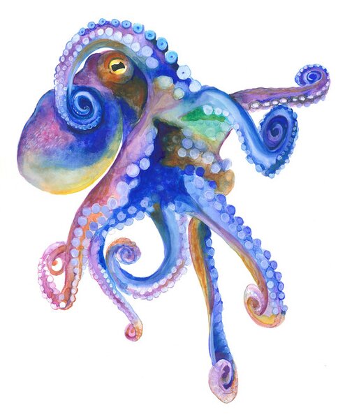 Ilustracija Blue Marine Octopuss, Isabelle Brent