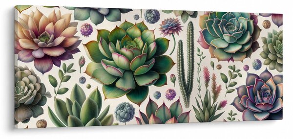 Slika - Sukulenti (120x50 cm)