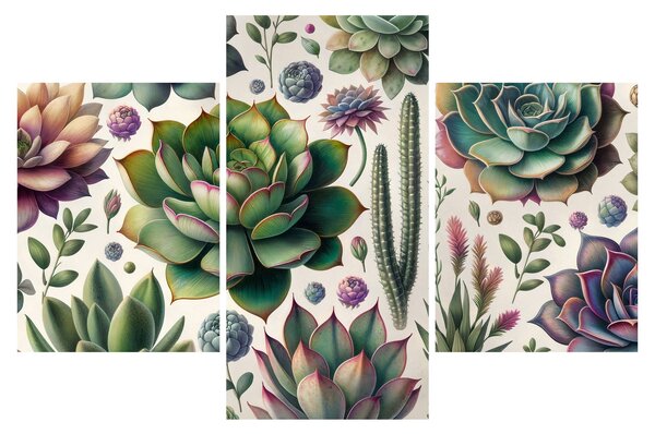 Slika - Sukulenti (90x60 cm)