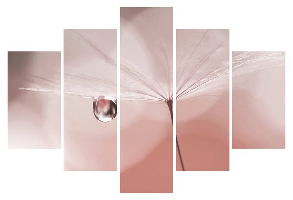 Slika - Kapljica rose (150x105 cm)