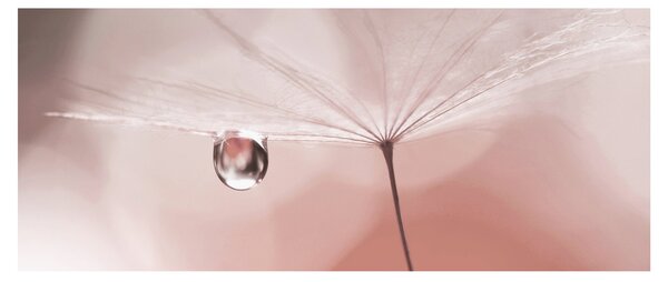 Slika - Kapljica rose (120x50 cm)