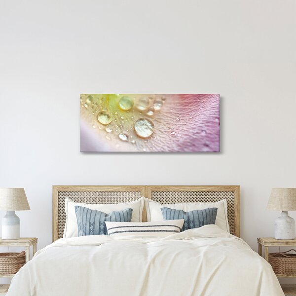 Slika - Kapi rose (120x50 cm)