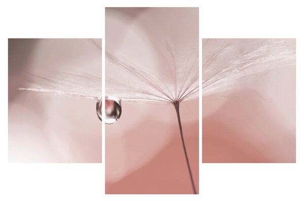 Slika - Kapljica rose (90x60 cm)