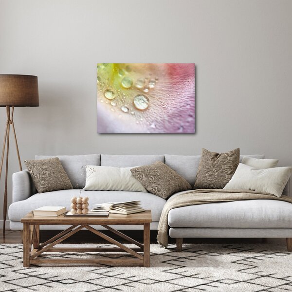 Slika - Kapi rose (70x50 cm)