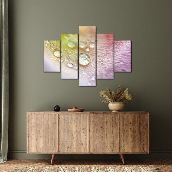 Slika - Kapi rose (150x105 cm)