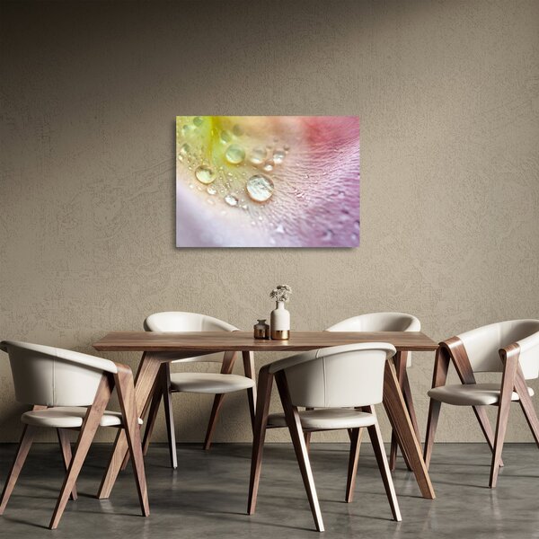 Staklena slika - Kapi rose (70x50 cm)