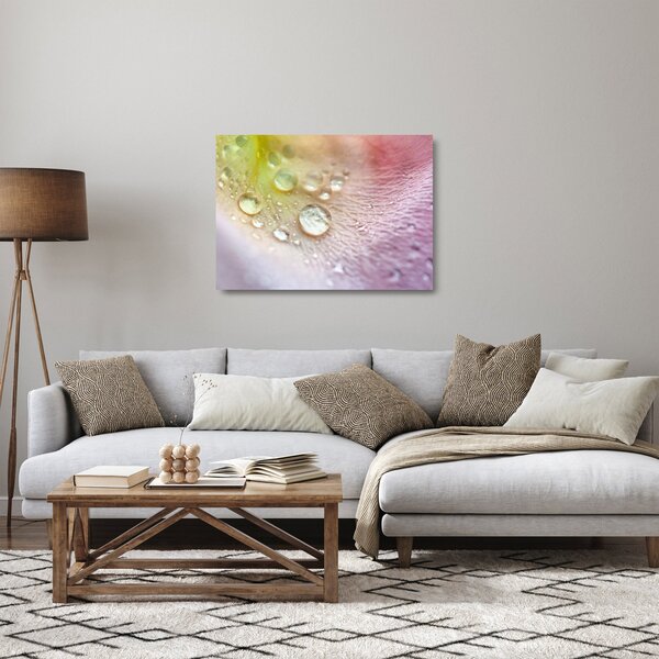 Staklena slika - Kapi rose (70x50 cm)