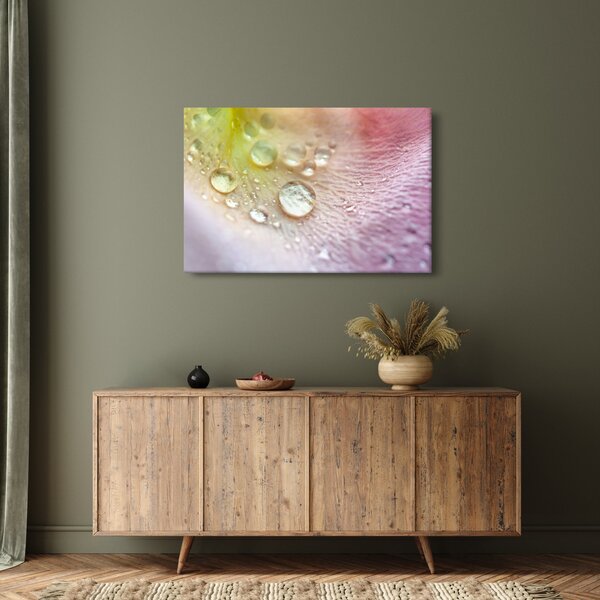 Slika - Kapi rose (90x60 cm)