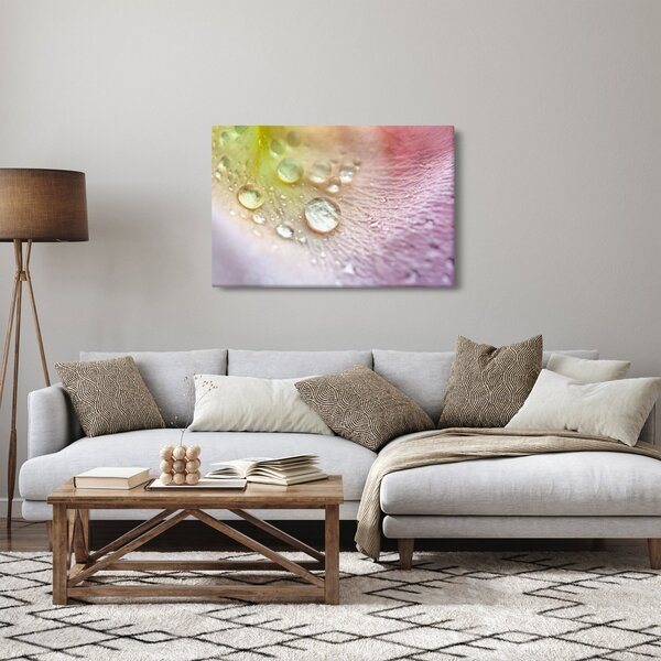 Slika - Kapi rose (90x60 cm)