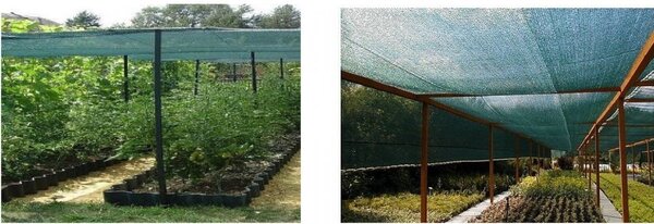 Mreža za zasjenjivanje sa 62% zasjenjenja 65g/m2 1,5m x 25m
