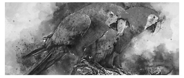 Slika - Vodene boje papige (120x50 cm)