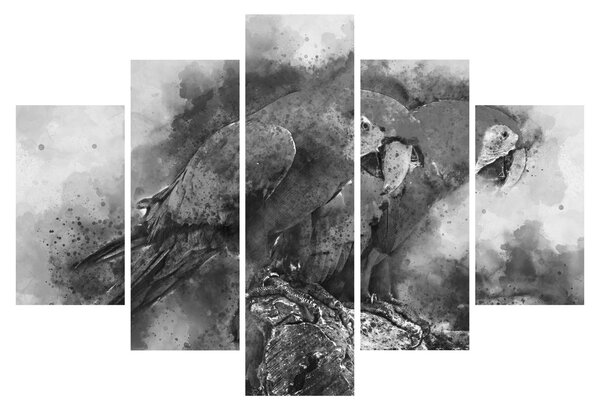 Slika - Vodene boje papige (150x105 cm)