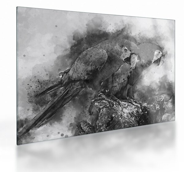 Staklena slika - Vodene boje papige (70x50 cm)