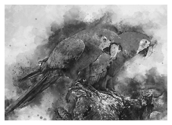 Staklena slika - Vodene boje papige (70x50 cm)