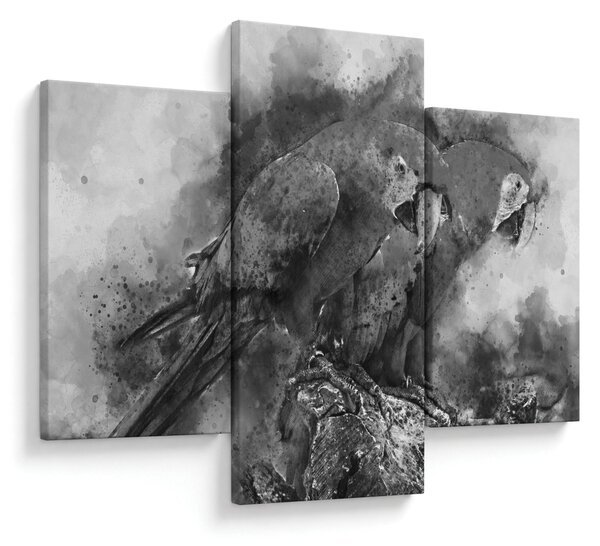 Slika - Vodene boje papige (90x60 cm)