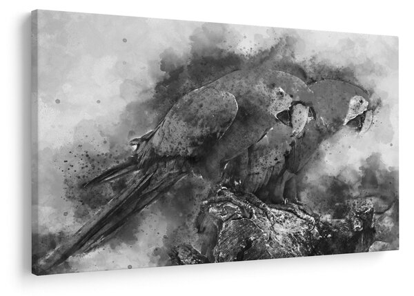 Slika - Vodene boje papige (90x60 cm)
