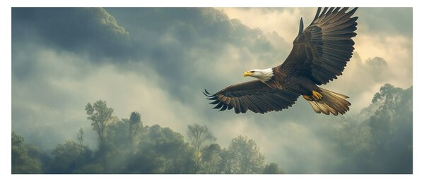 Slika - Leteći orao (120x50 cm)