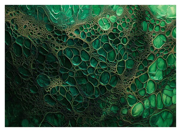 Slika - Zeleni mikroskopski prikaz (70x50 cm)