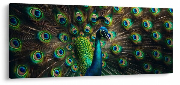 Slika – Paun (120x50 cm)