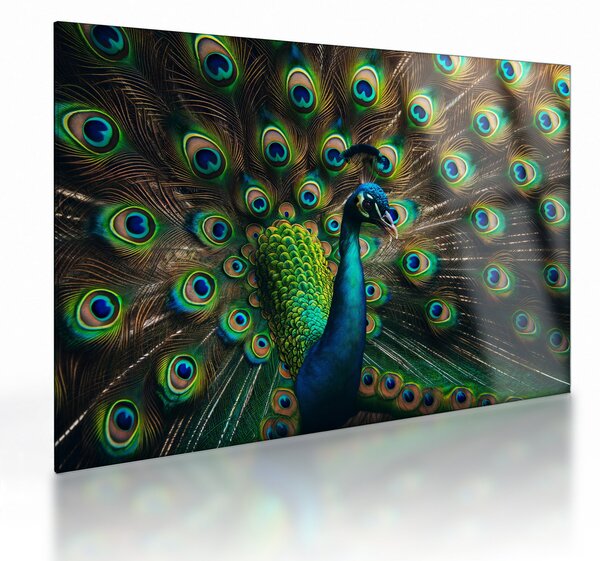 Staklena slika – Paun (70x50 cm)
