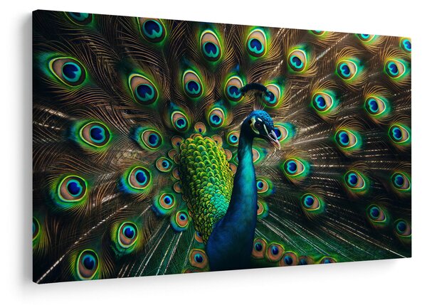 Slika – Paun (90x60 cm)